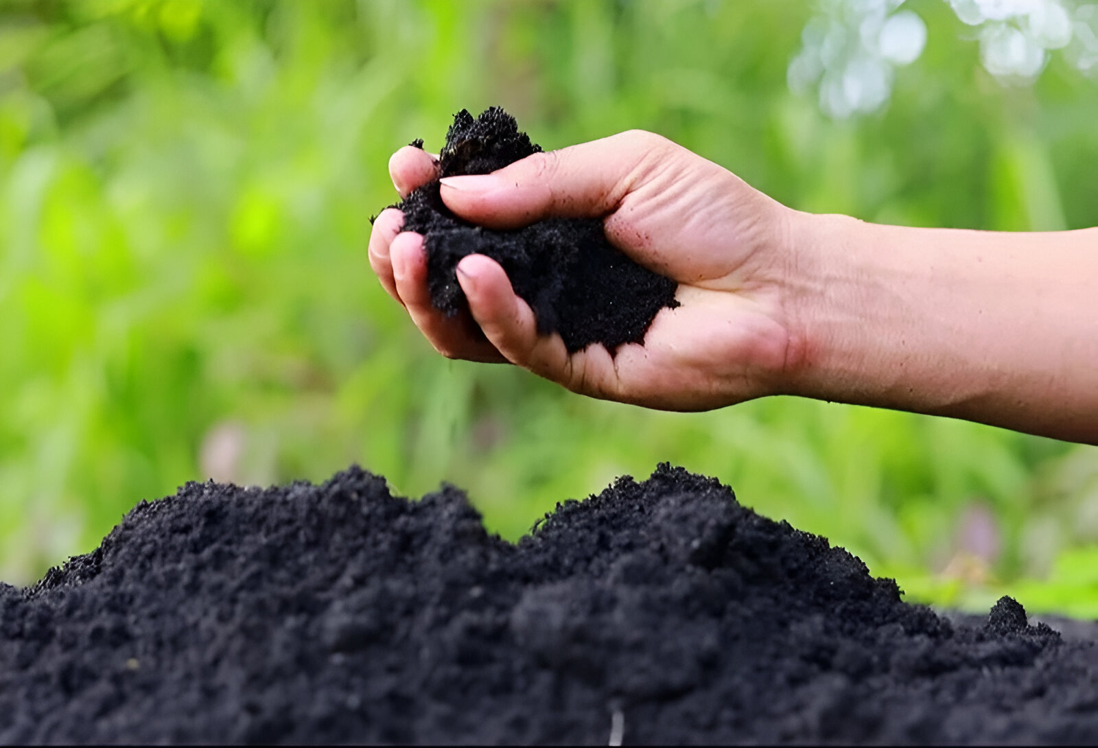 Innovation in Agriculture